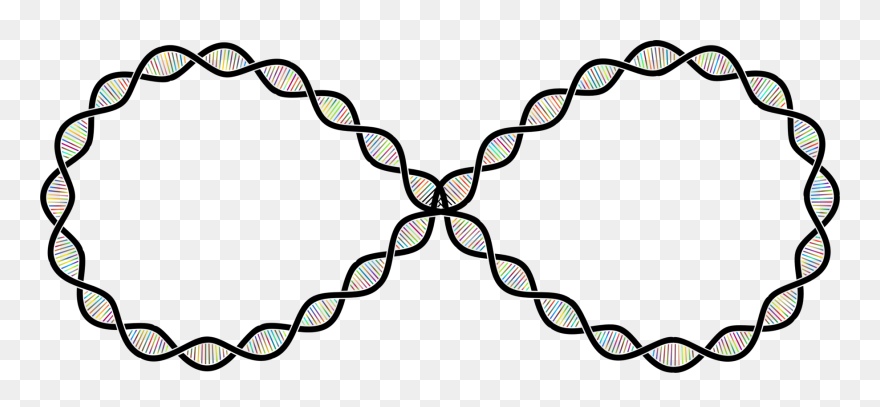 Infinity Clipart Wedding Invitation - Cold Spring Harbor Meetings - Png Download