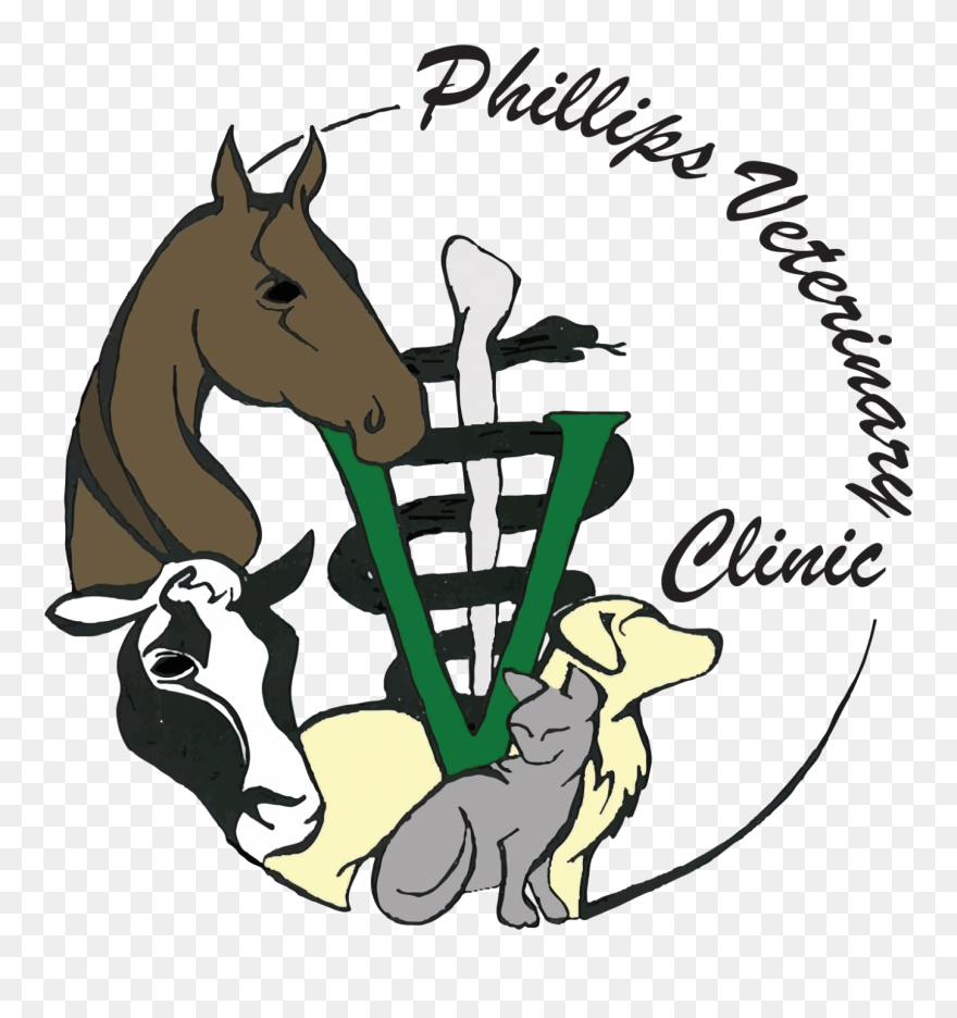 Clip Art - Png Download