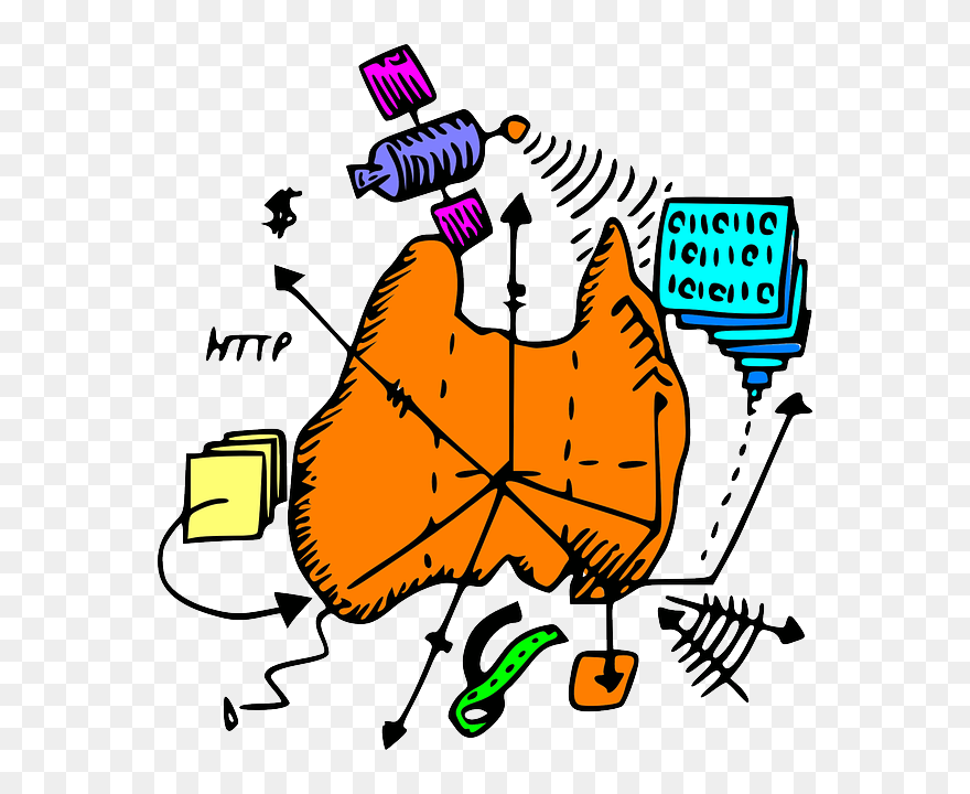 Country, Digital, Geography, Australia, Map, Cartoon - Png Geography Cartoon Clipart