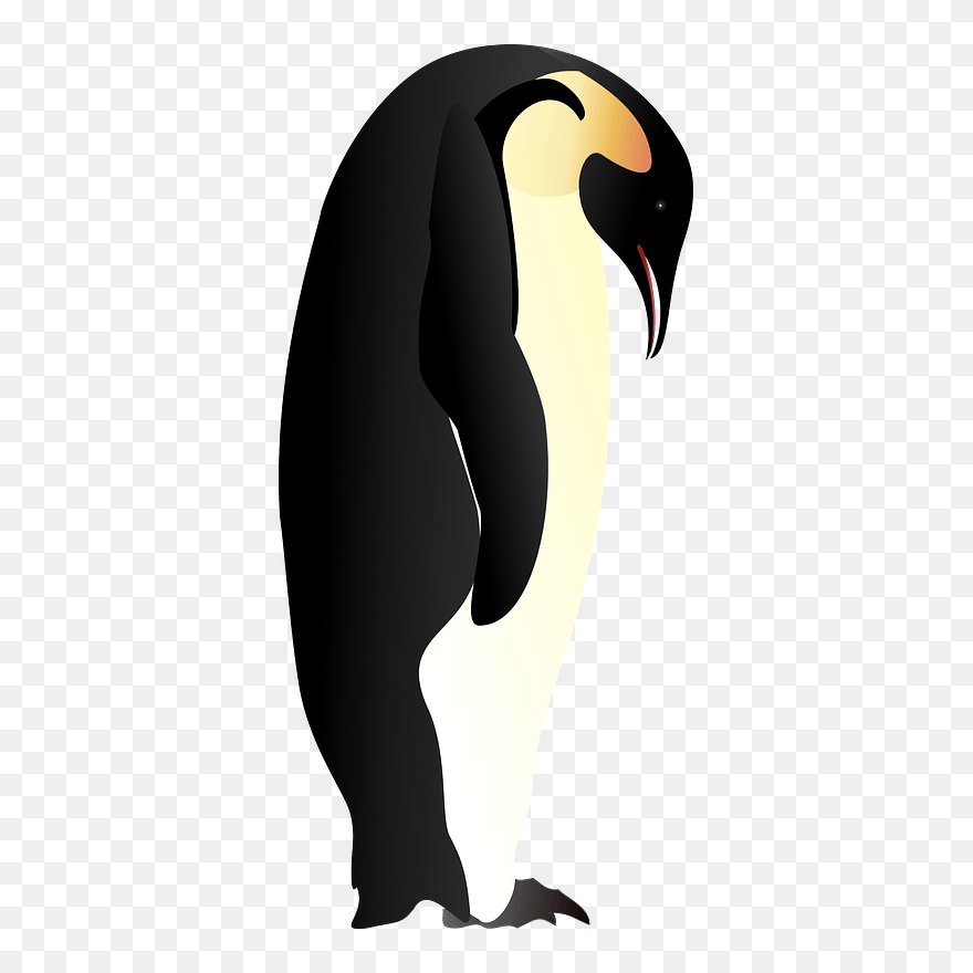 Penguin Looking Down Clipart - Cartoon - Png Download
