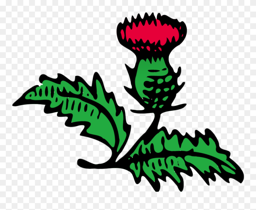 Clip Art - Png Download