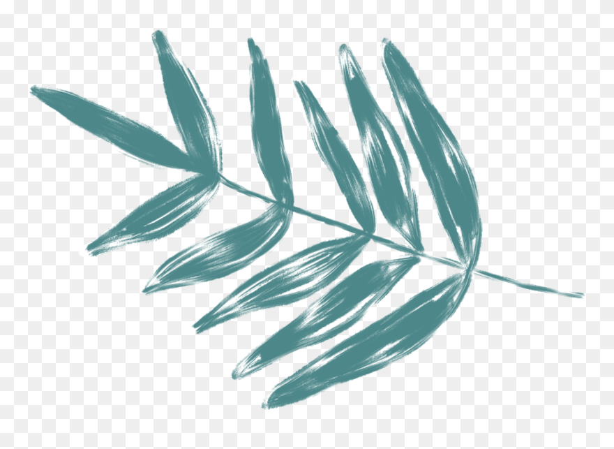 Weeds Drawing Design Transparent Png Clipart Free Download - Sketch