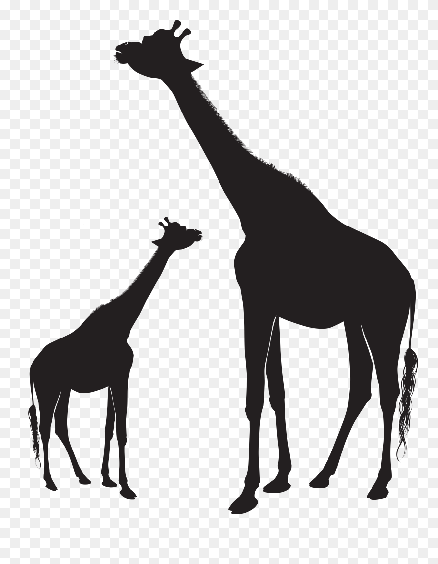 Giraffe Silhouette Animal Mammal Horse Clipart