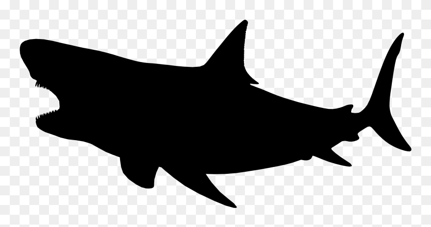 Shark Clip Art Fauna Silhouette Mammal - Megalodon Silhouette - Png Download