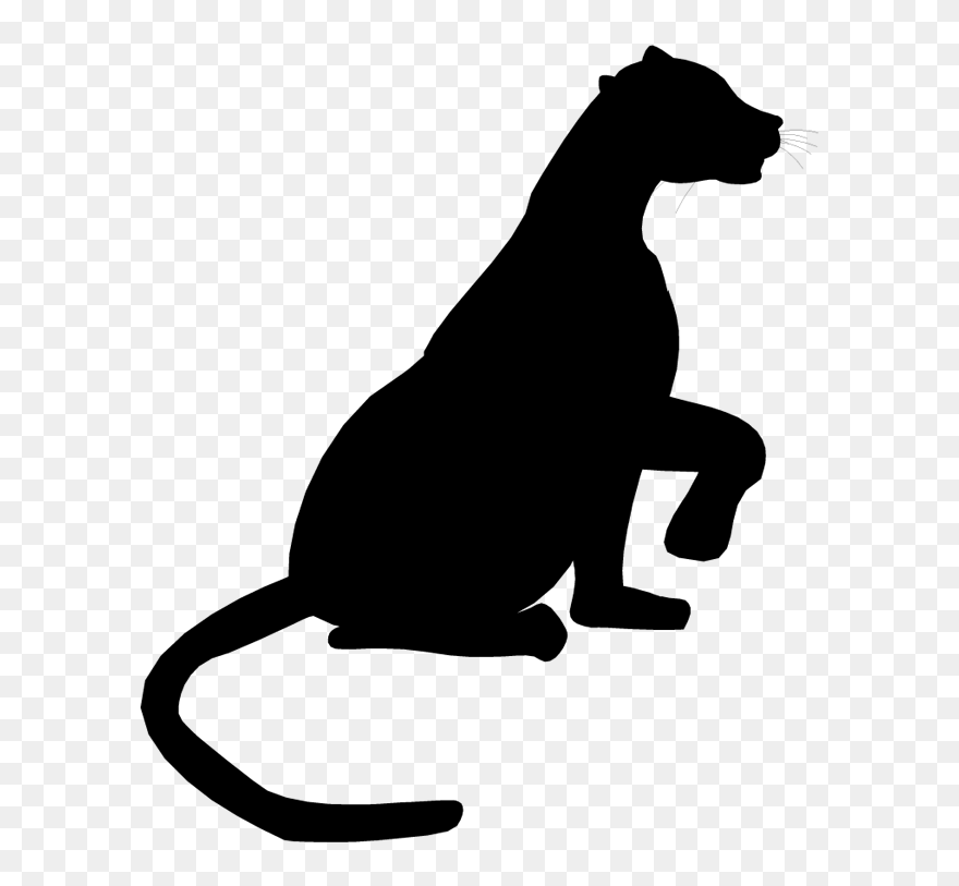 Cat Dog Clip Art Mammal Canidae - Illustration - Png Download