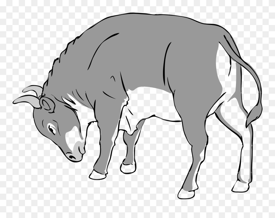 Clip Art - Png Download