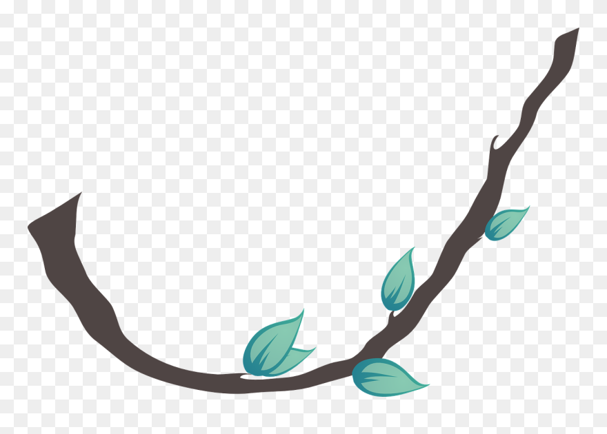 Lianas In The Rainforest Drawings Clipart