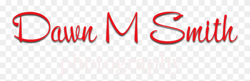 Dawn M Smith Photography - Spring Party Clipart