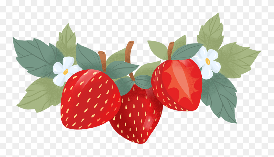 Strawberry Clipart