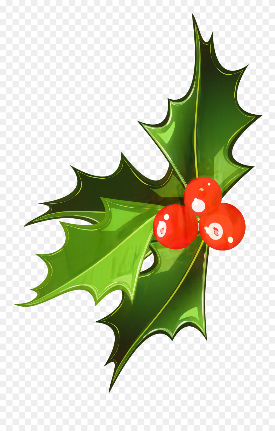 Mistletoe Clipart Holy - Transparent Background Mistletoe Clipart - Png Download
