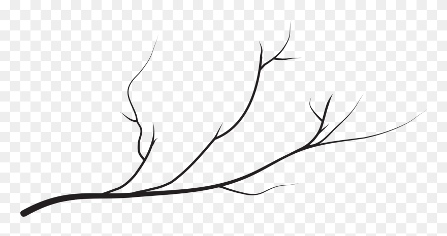 Wedding Photographer - Line Art Clipart