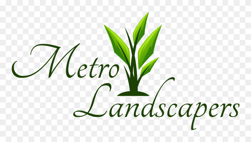 Metro Landscapers - Calligraphy Clipart