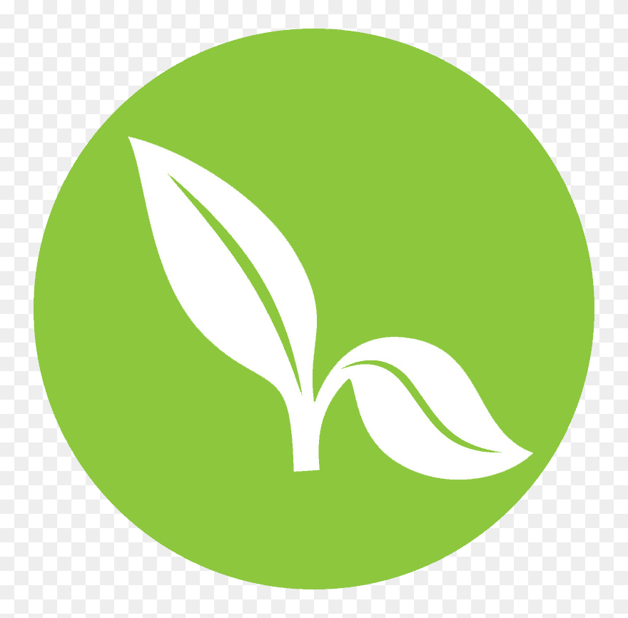 Clip Art - Png Download