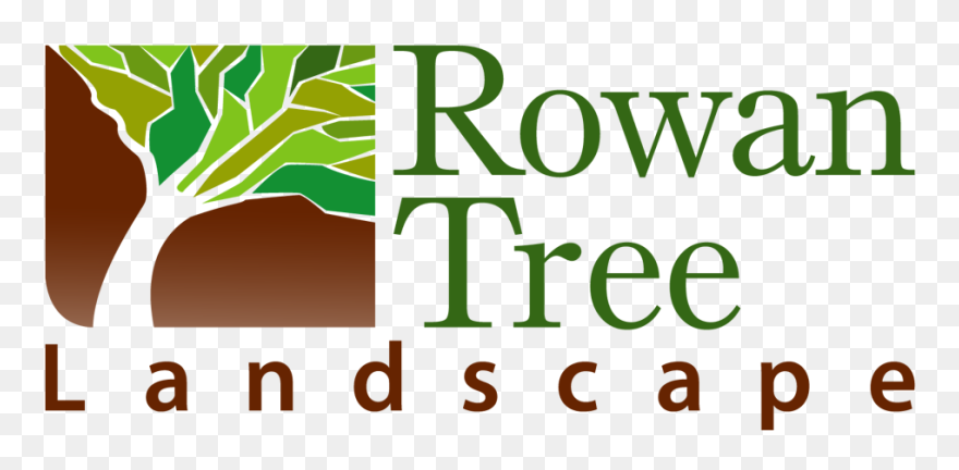 Graphic Design Clipart