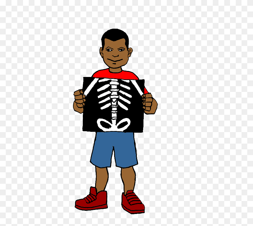 Free X - X Ray Clipart - Png Download