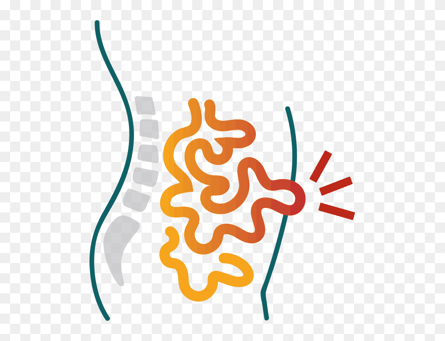 Hernia Clipart - Png Download