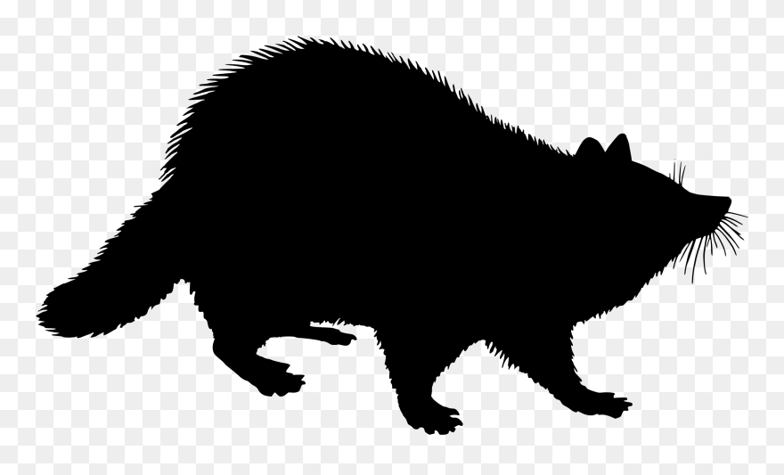 Racoon Sil - Geographic Distribution Of Baylisascaris Procyonis Clipart