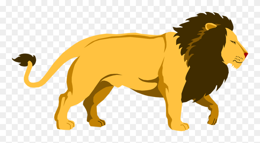 Transparent Lion Png Clipart