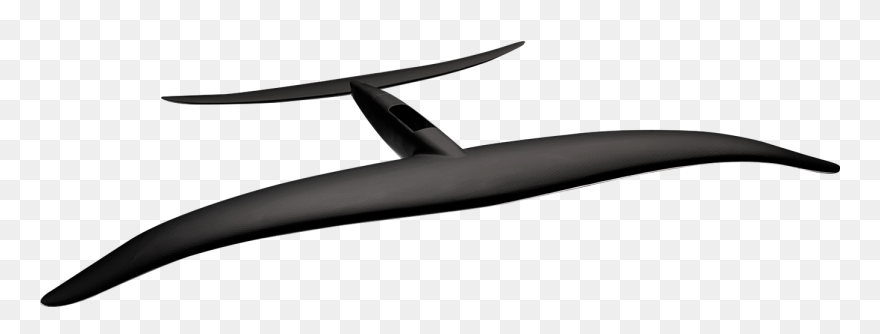 Whale Clipart