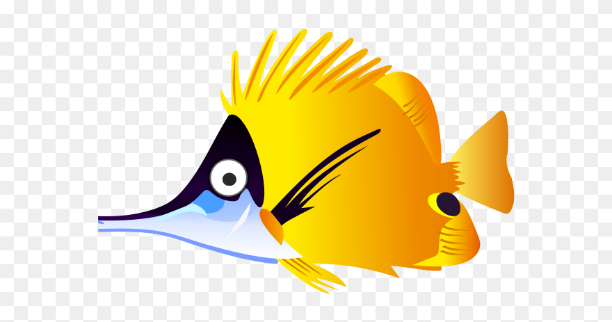 Colorful Tropical Fish - Coral Fish Clipart - Png Download