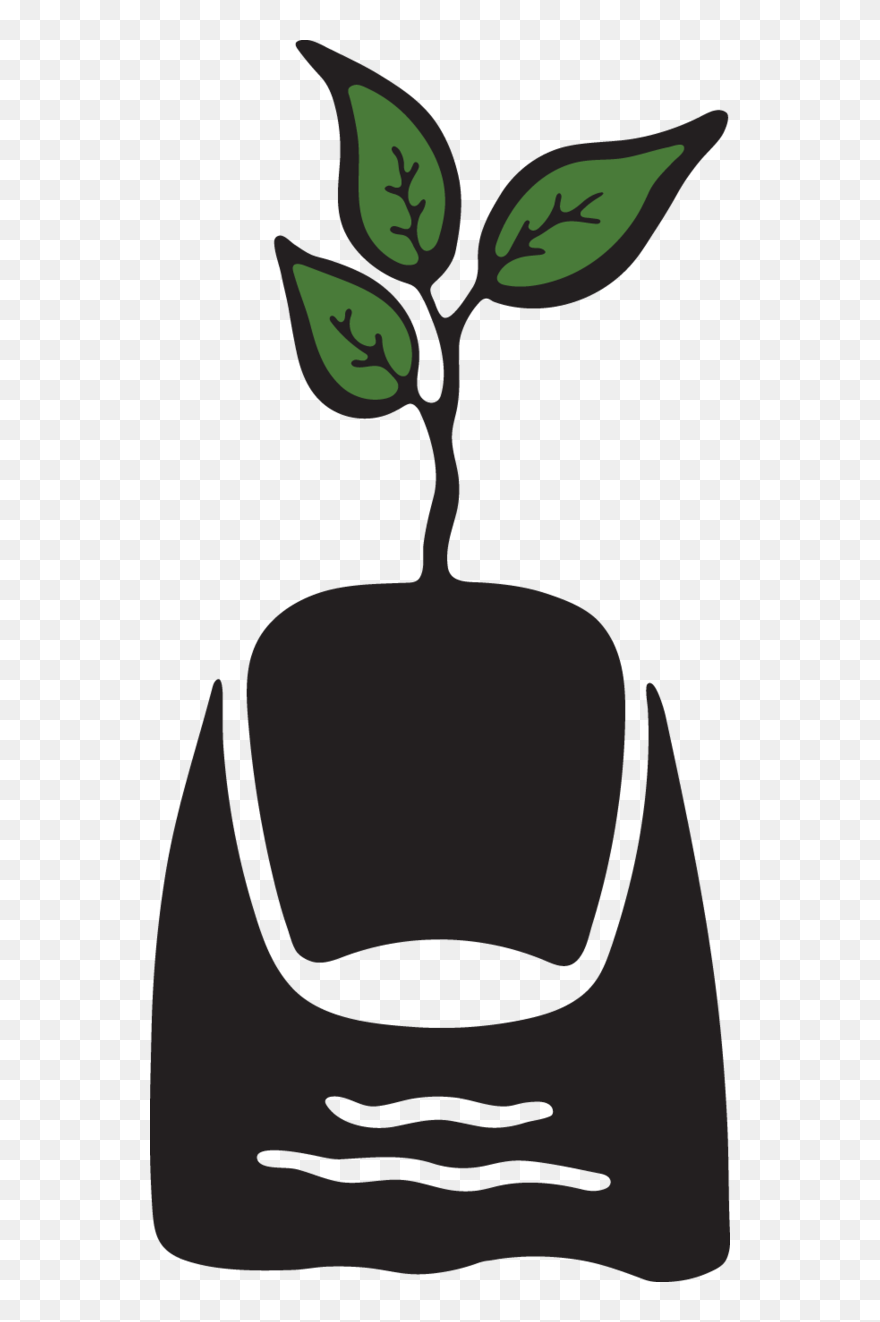 Clip Art - Png Download