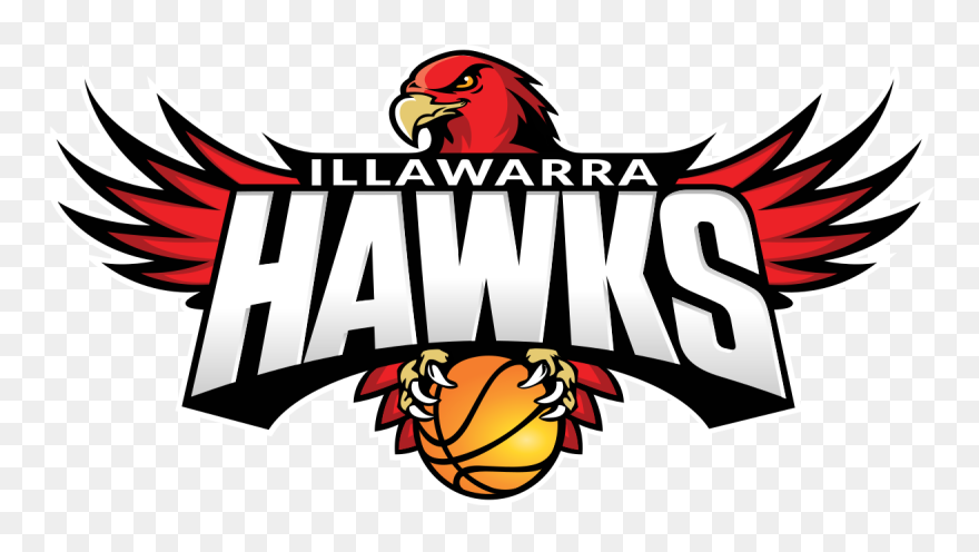 Illawarra Hawks Clipart