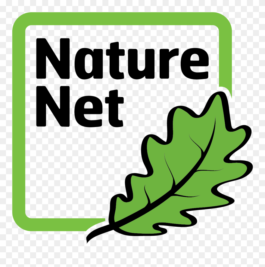 Rocks And Minerals Handouts Cave Of The Mounds - Nature Net Clipart