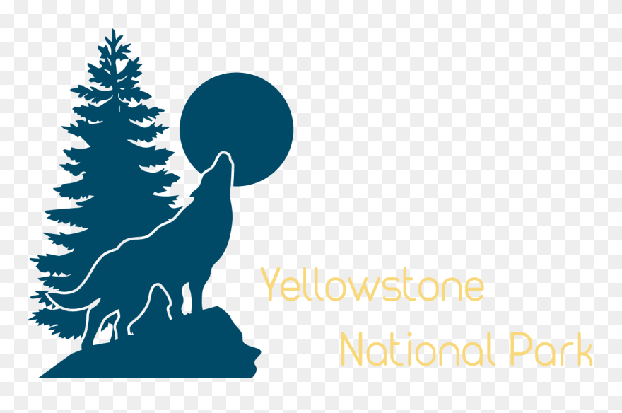Yellow Stone National Park - Vector Pine Tree Png Clipart