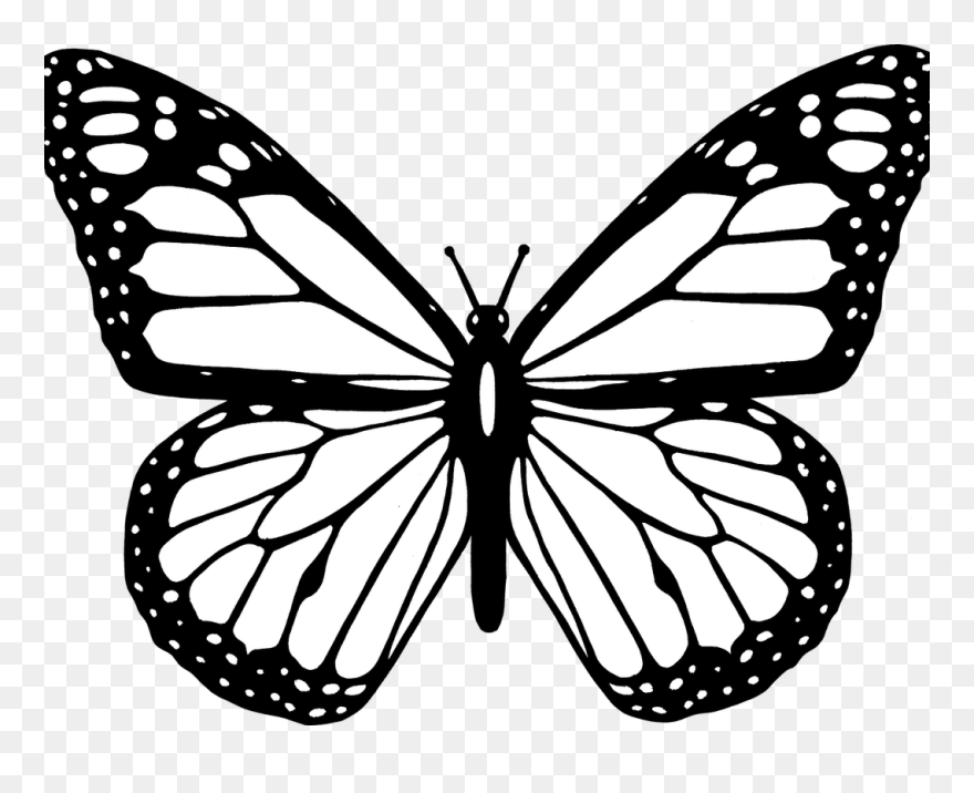 Beautiful Butterfly Clipart Black And White - Monarch Butterfly Coloring Pages - Png Download