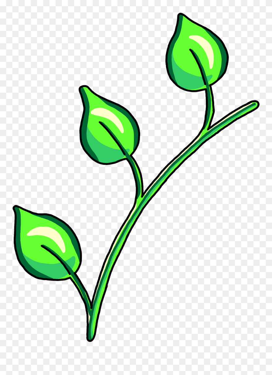 Jen Tennille Illustration And Design - Stem Of Plants Clip Art - Png Download