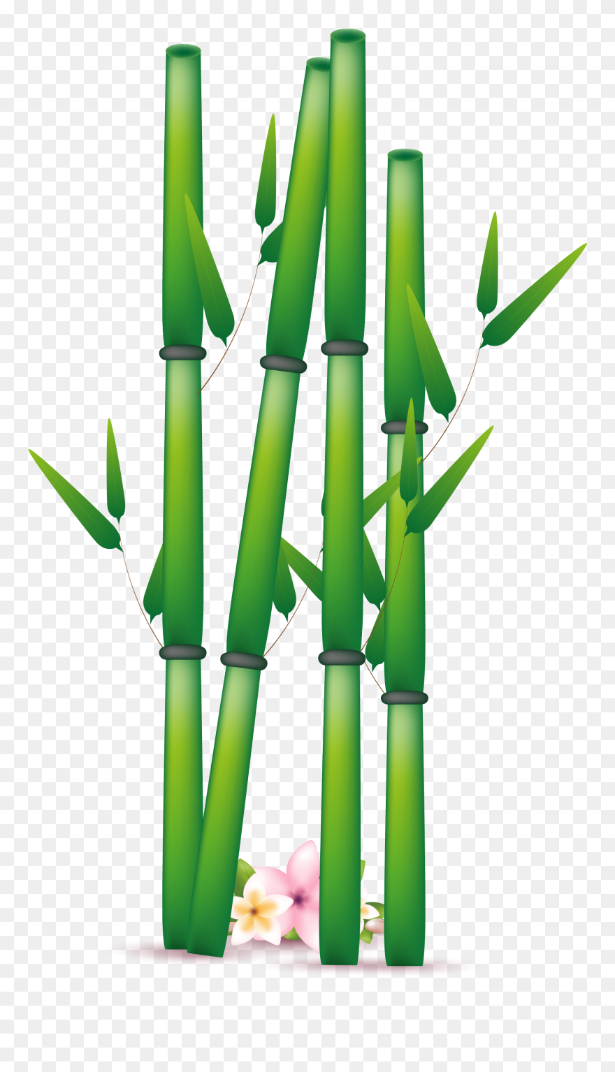 One Clipart Bamboo, One Bamboo Transparent Free For - Bamboo Leaf Bamboo Free Clipart - Png Download