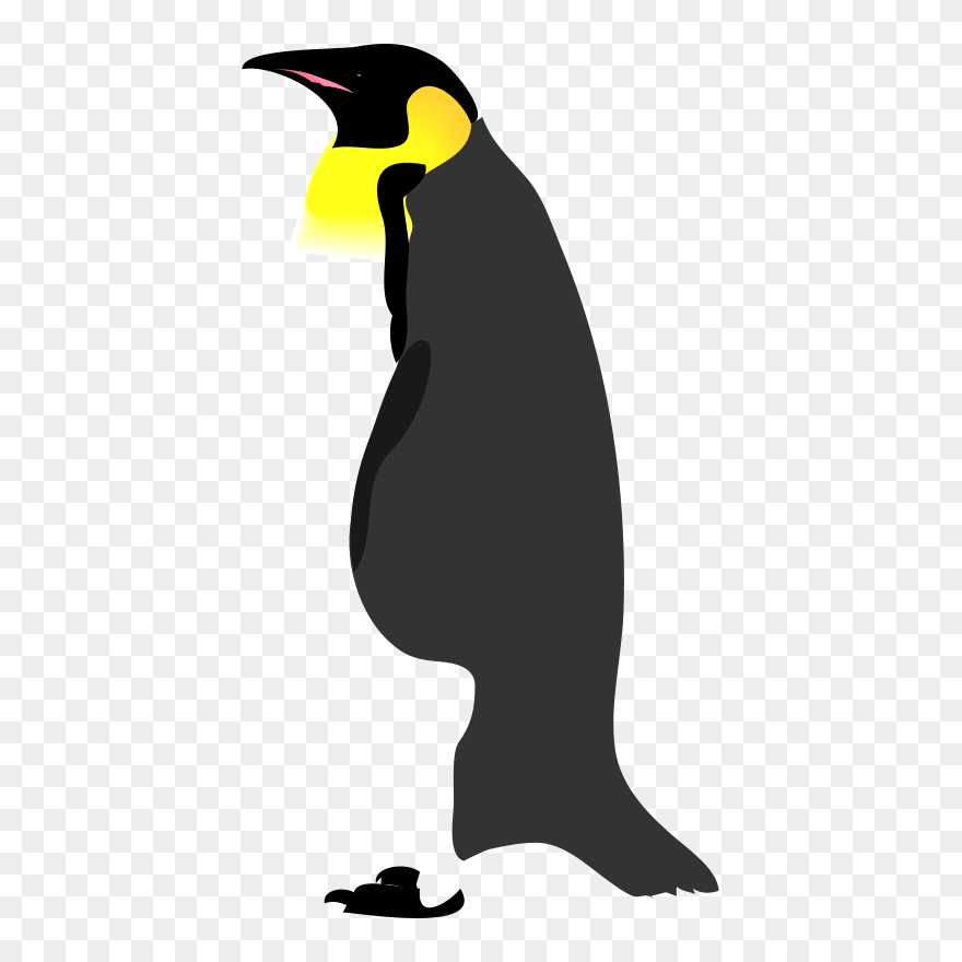 Gentoo Penguin Clip Art - Png Download