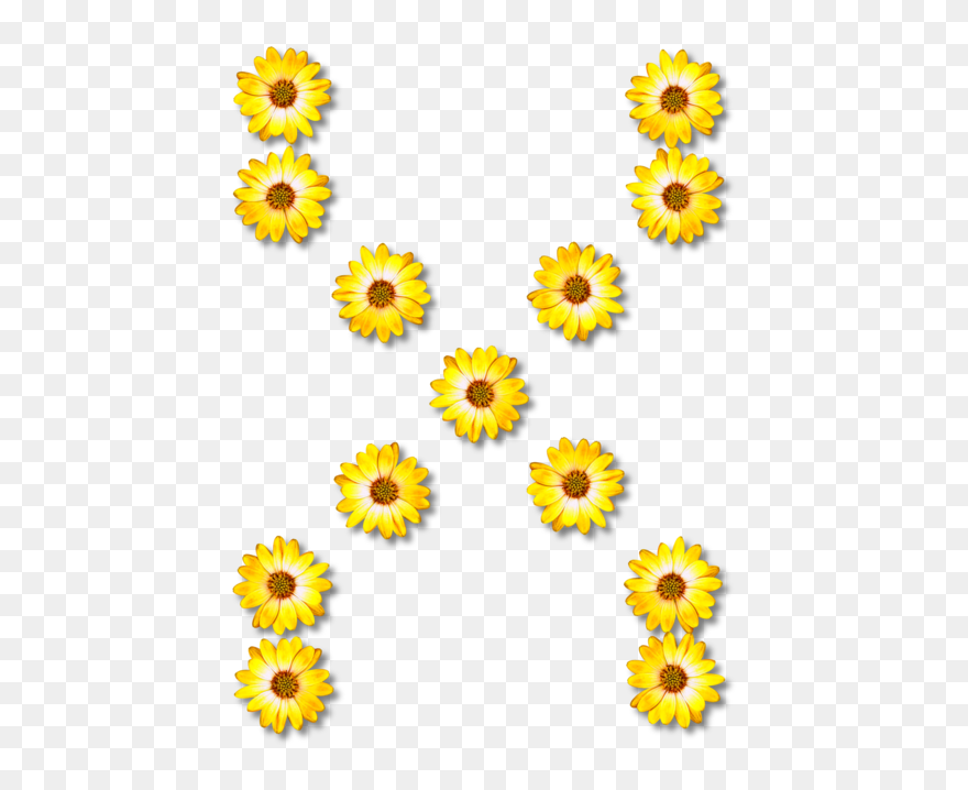 Sunflower Seed,plant,flower - Connexity Logo Clipart