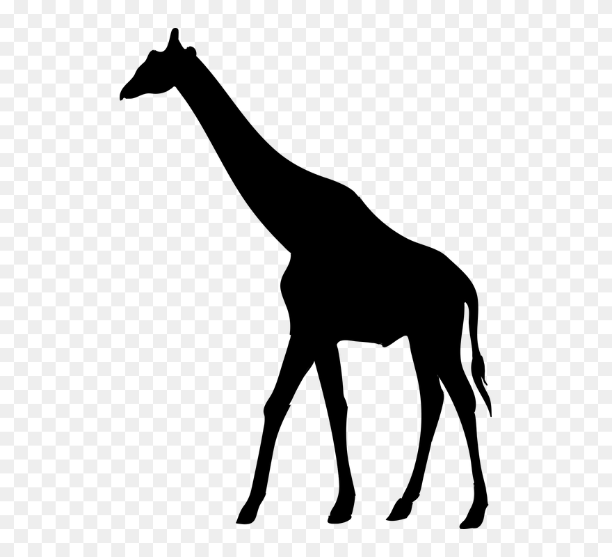 Giraffe African Animal Silhouette Clipart