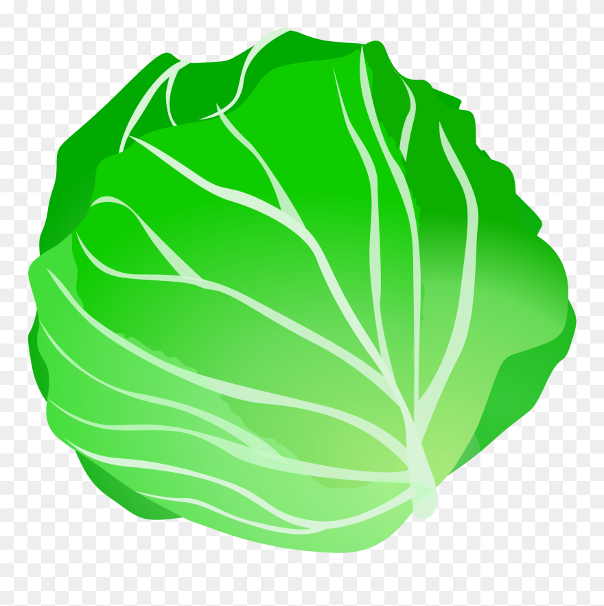 Cabbage Clip Art - Transparent Background Cabbage Clipart - Png Download