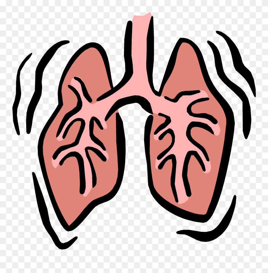 Pptx On Emaze - Respiratory System Clipart Png Transparent Png