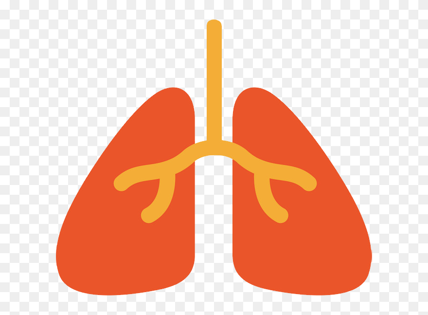 Transparent Lung Clipart - Orange Lungs Clipart - Png Download