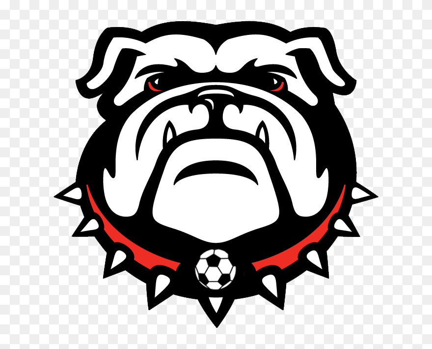 Yale Bulldog Logos Clip Art - Georgia Bulldogs Logo Png Transparent Png