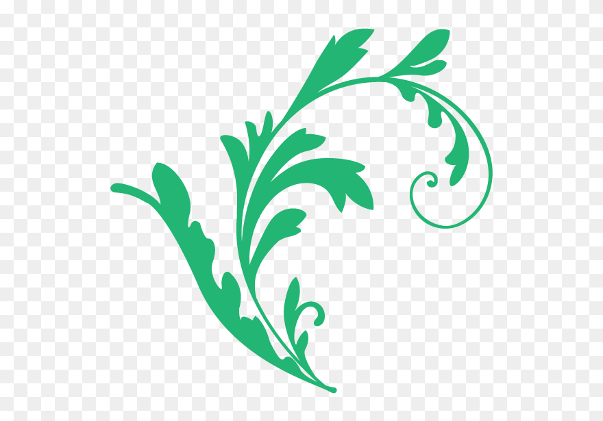 Tea Drug Crude Facial Skin Herbal Clipart - Herb - Png Download