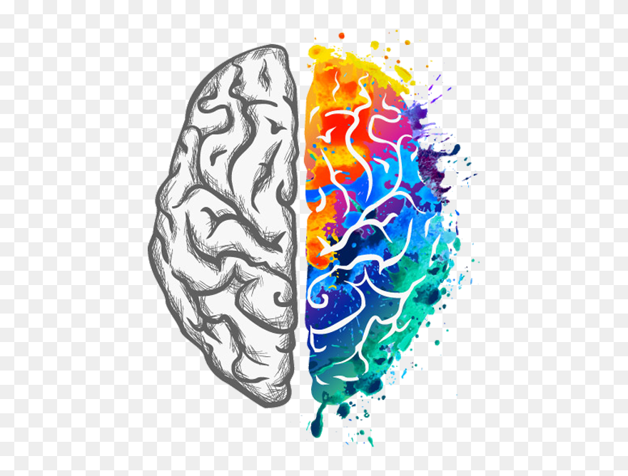 Left And Right Brain Png Clipart