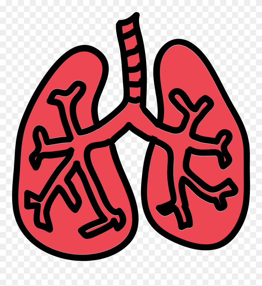 Lungs Png - Lungs Cartoon Png Clipart