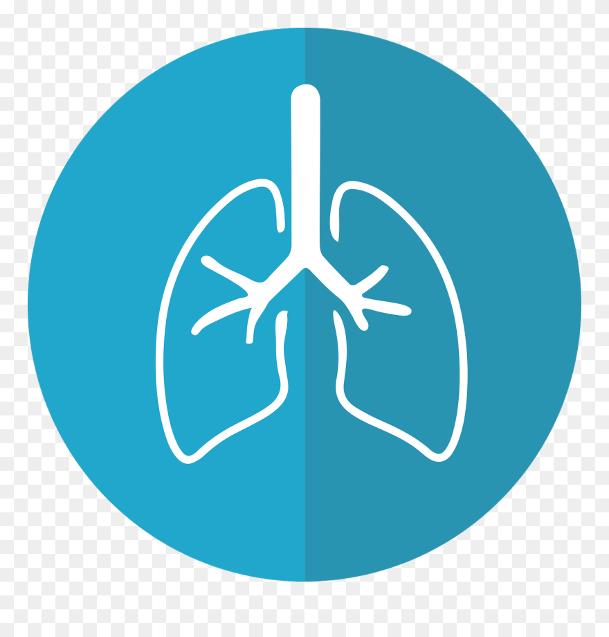 Transparent Nursing Diagnosis Clipart - Lung Graphic - Png Download