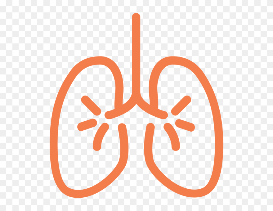 Png Medicine Icons In Flutter Clipart