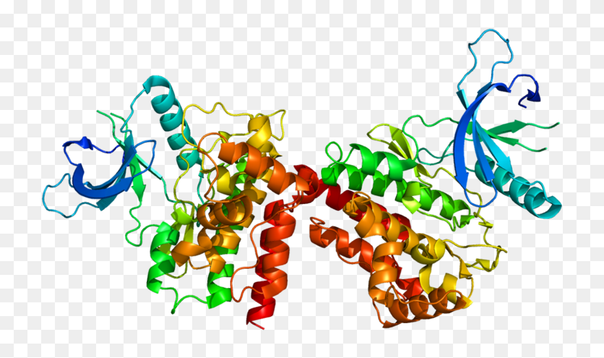 Jak2 Protein Clipart