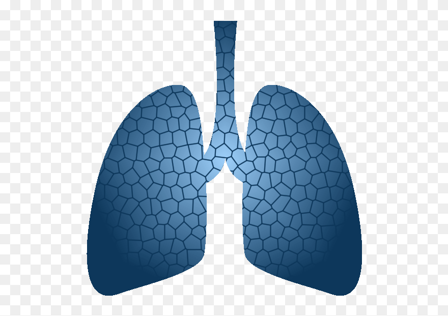 Lung Report Sample - Museo Soumaya Clipart