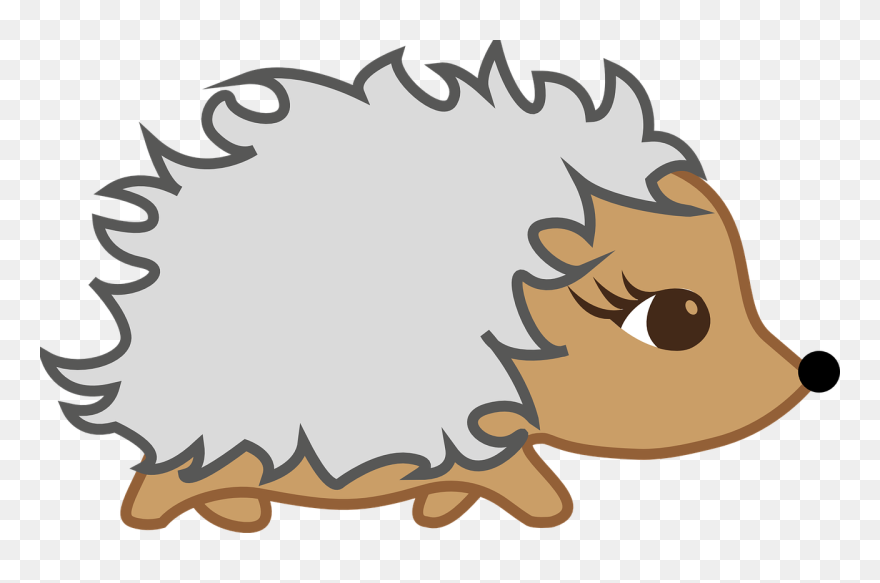 Hedgehog Border Clipart Cute - Cartoon Hedgehog No Background - Png Download