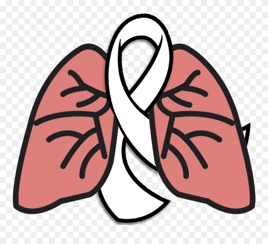 The Wrong Lottery - Transparent Background Lungs Clipart - Png Download