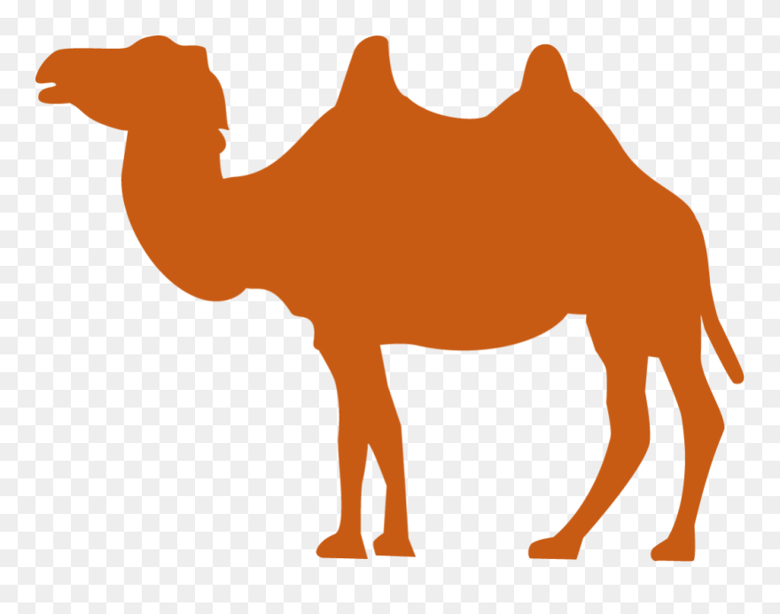 Clip Art - Png Download