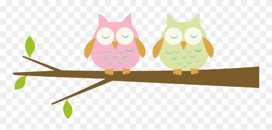 Baby Owl Clipart - Png Download