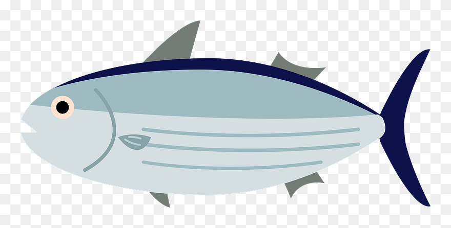 Skipjack Tuna Fish Clipart - Png Download